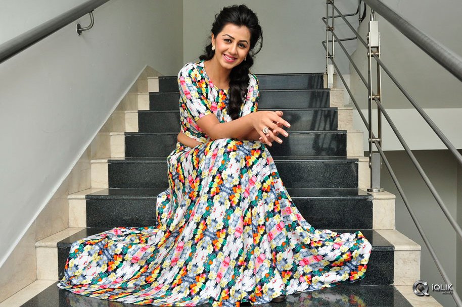 Nikki-Galrani-at-Krishnastami-Movie-Success-Meet
